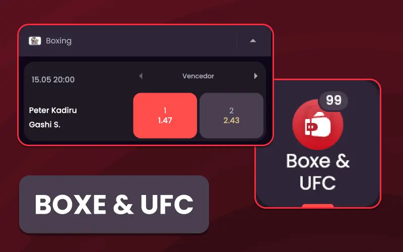 Aposte em eventos de MMA e Boxe na OnaBet.